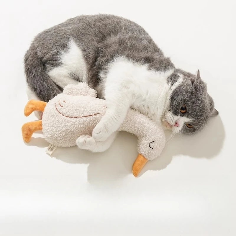Cat Dog Toys Chewers Cats Dogs, Chew Squeak Toy Cats Dogs Interactive