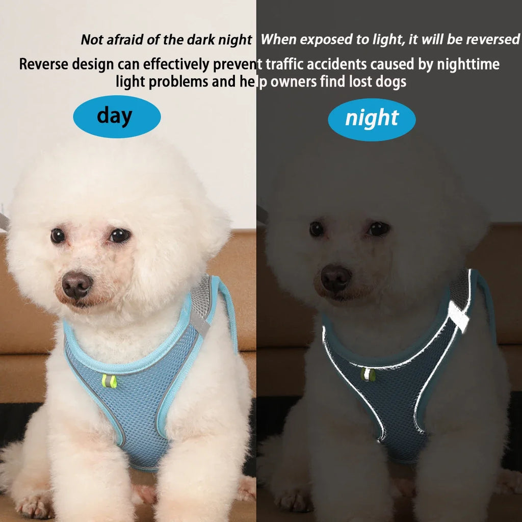 Dog Harness Leash Set for Small Dogs Adjustable Puppy Cat Harness
