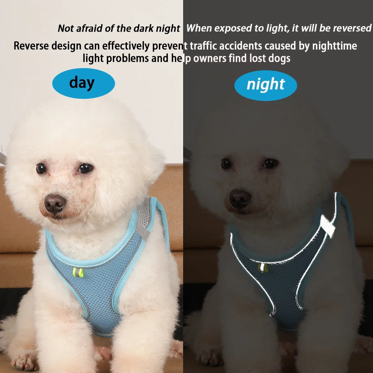 Dog Harness Leash Set for Small Dogs Adjustable Puppy Cat Harness