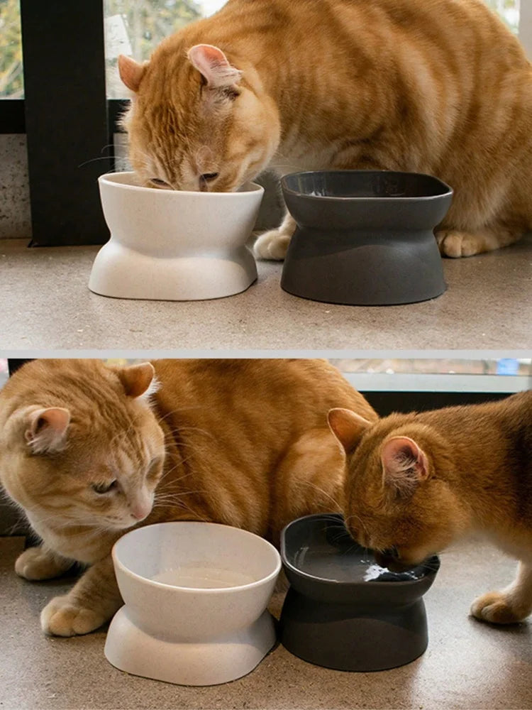 1Pc Pet bowl, water and food feeder, for cat and small dog