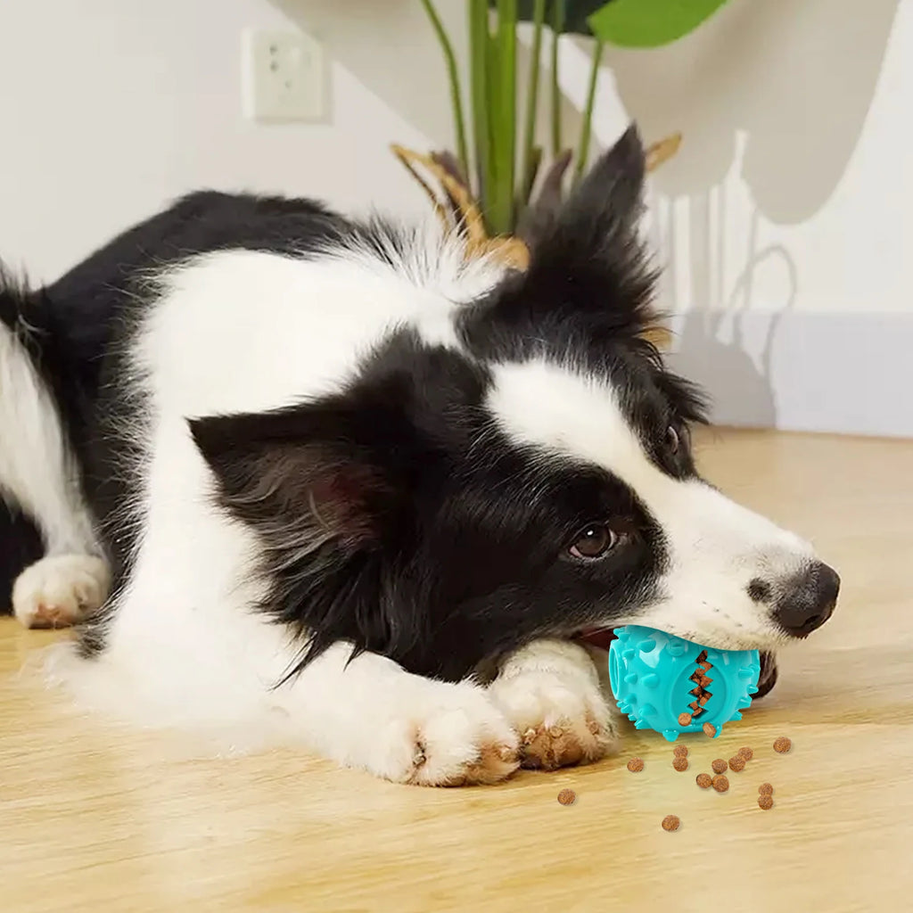 Dog Grinding Teeth Toys Chew Toys Cleaning Teeth Anti Bite