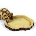 Pet Reptile Feeder Bowl Basin Resin Non-Toxic Food Water Pot Turtles