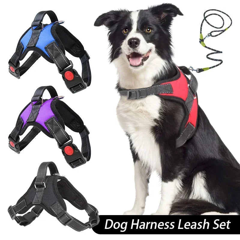 Dog Harness And Leash Set No Pull Adjustable Comfortable with Easy