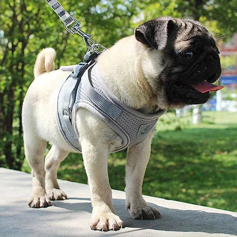Vest Harness Leash Adjustable Mesh Vest Dog Harness Collar Chest
