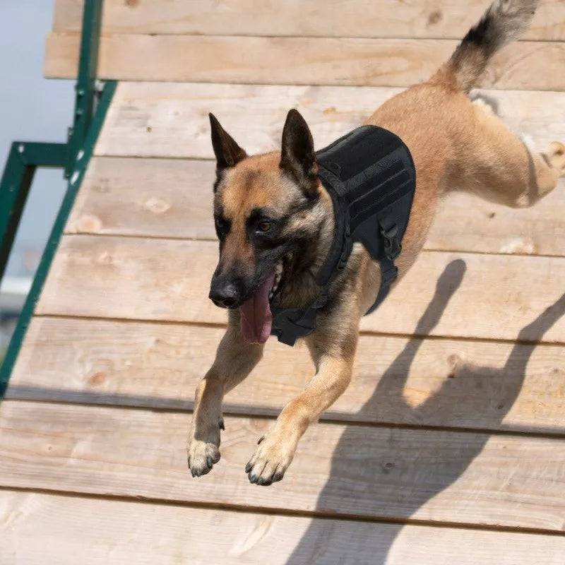 Large Dog Collar Dog Harness And Leash Set Pet Vest Tactical German