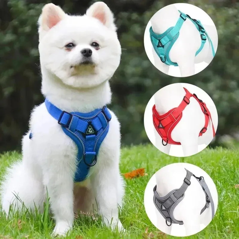 Dog Harness Leash Set For Small Medium Dogs Cat Hiking Adjustable