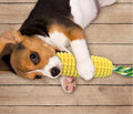 Dog Chew Toys for Aggressive Chewers, Indestructible Tough and