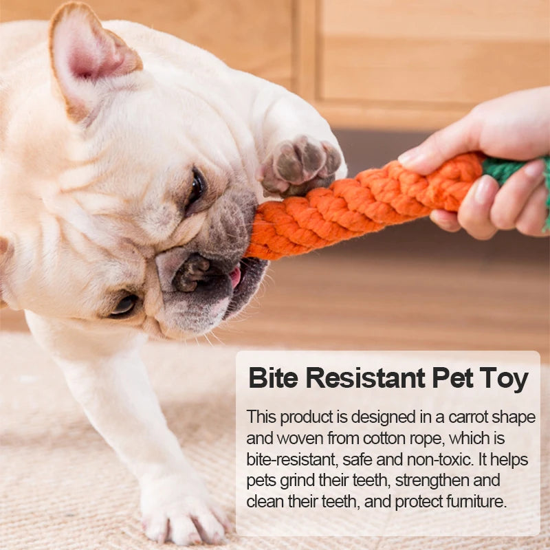 Pet Dog Toys Cartoon Animal Dog Chew Toys Durable Braided Bite