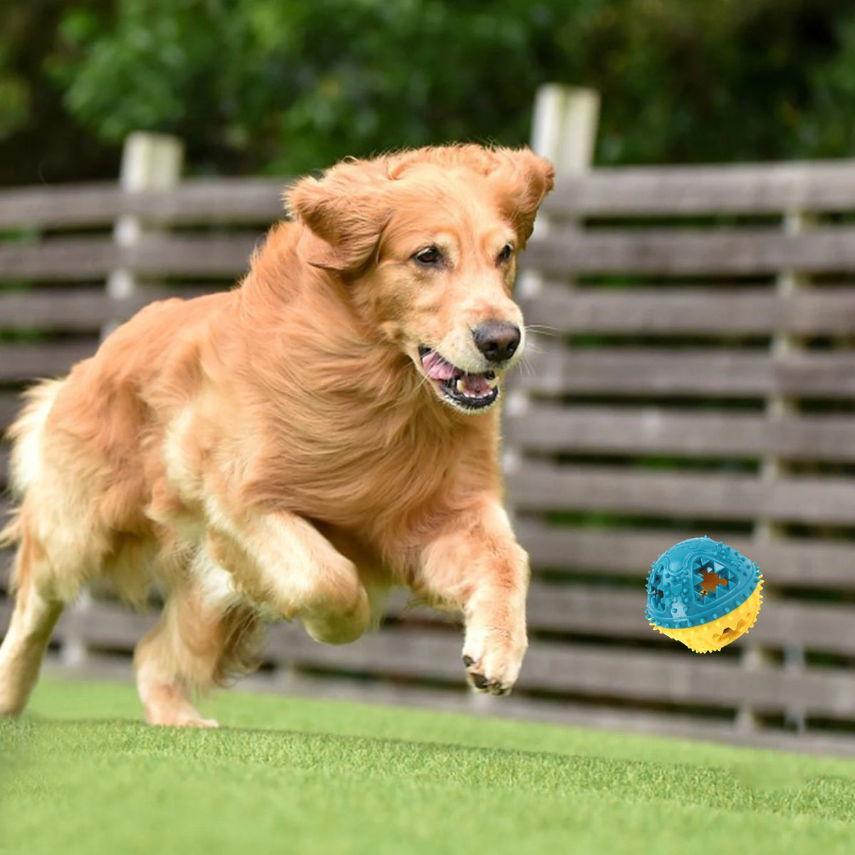 Dog Chew Toys Grinding Teeth Sound Ball Toys Leaking Food Balls Anti