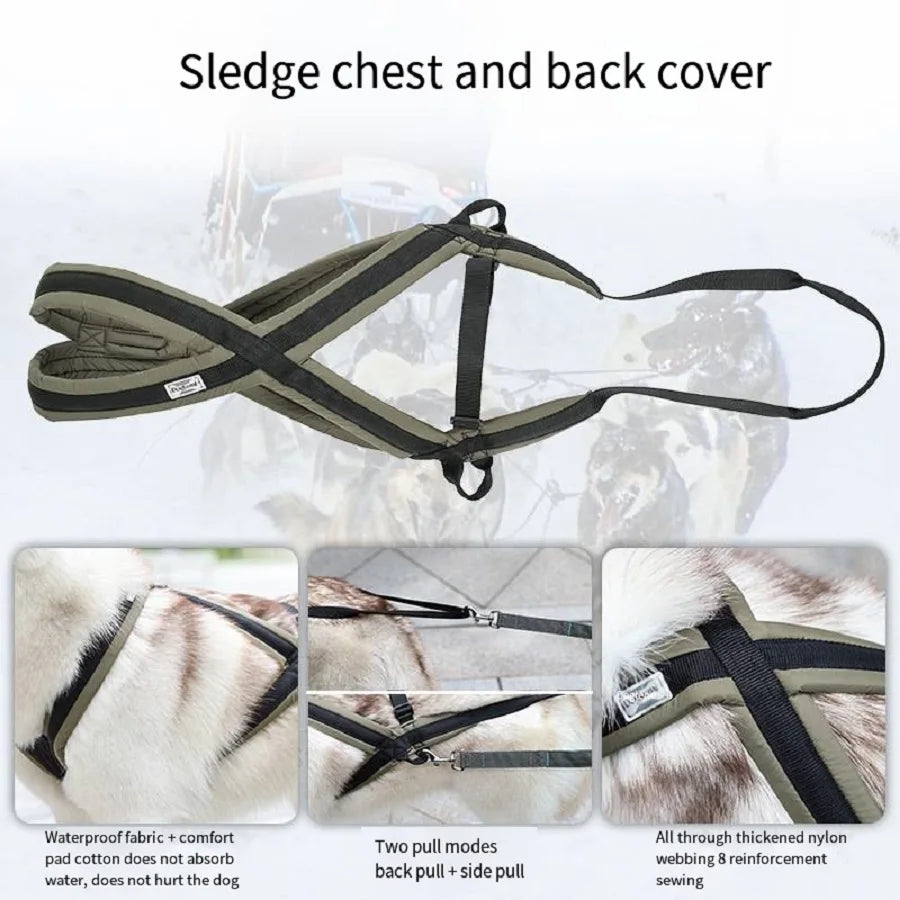 Outdoor Dog Harness and Leash Set for Medium and Large Dogs, Suitable