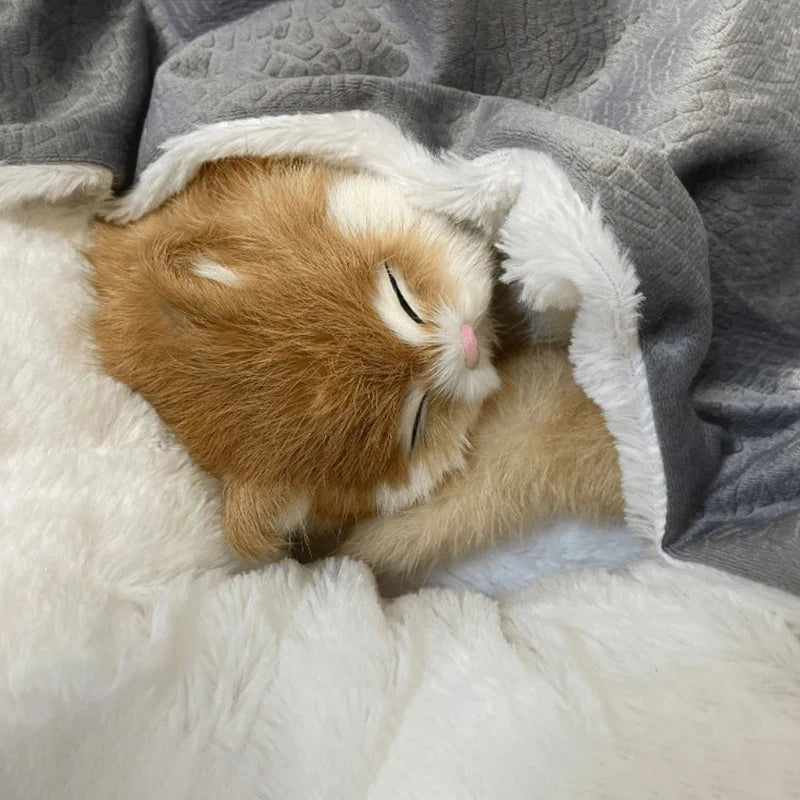 Hooded Orthopedic Dog Bed