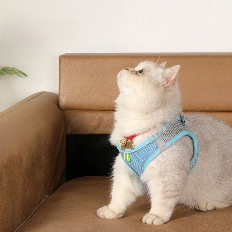 Dog Harness Leash Set for Small Dogs Adjustable Puppy Cat Harness