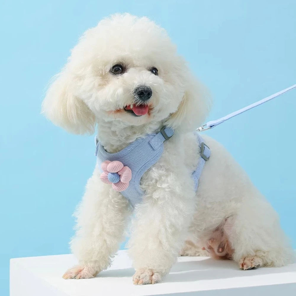 Dog Harness with 1.5m Leash Set Adjustable Pet Harness for Puppy Cats