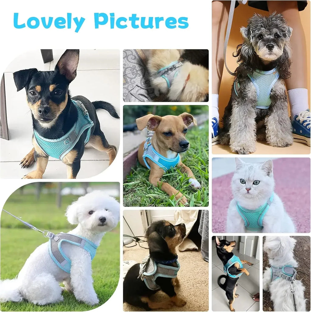 Small Dog Harness with Leash Set Anti Escape Vest Harness for French