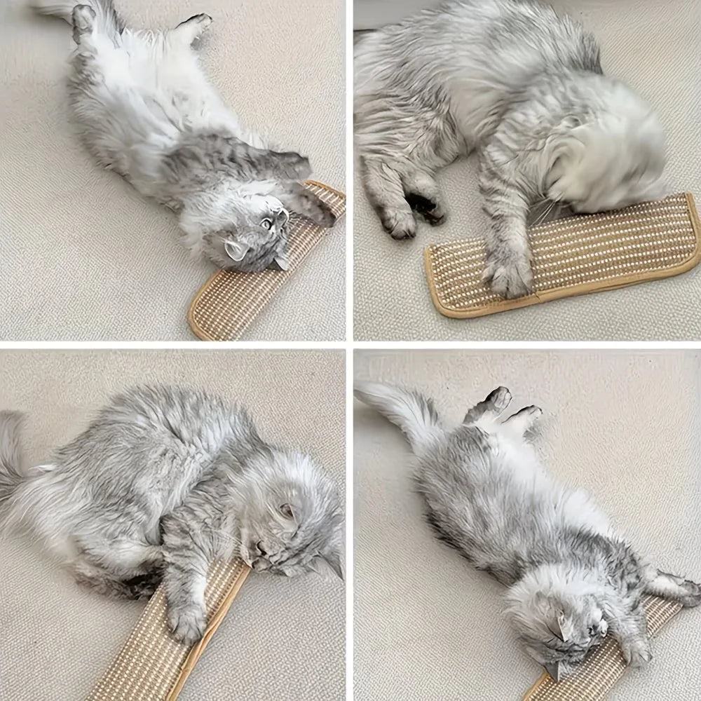2 in 1 Cat Toy Pillow & Scratching Mat Interactive Cat Toys for