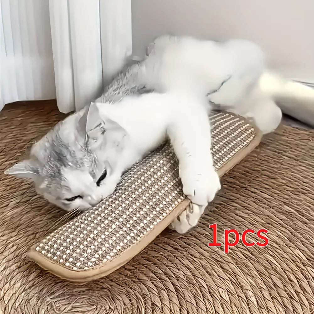 2 in 1 Cat Toy Pillow & Scratching Mat Interactive Cat Toys for