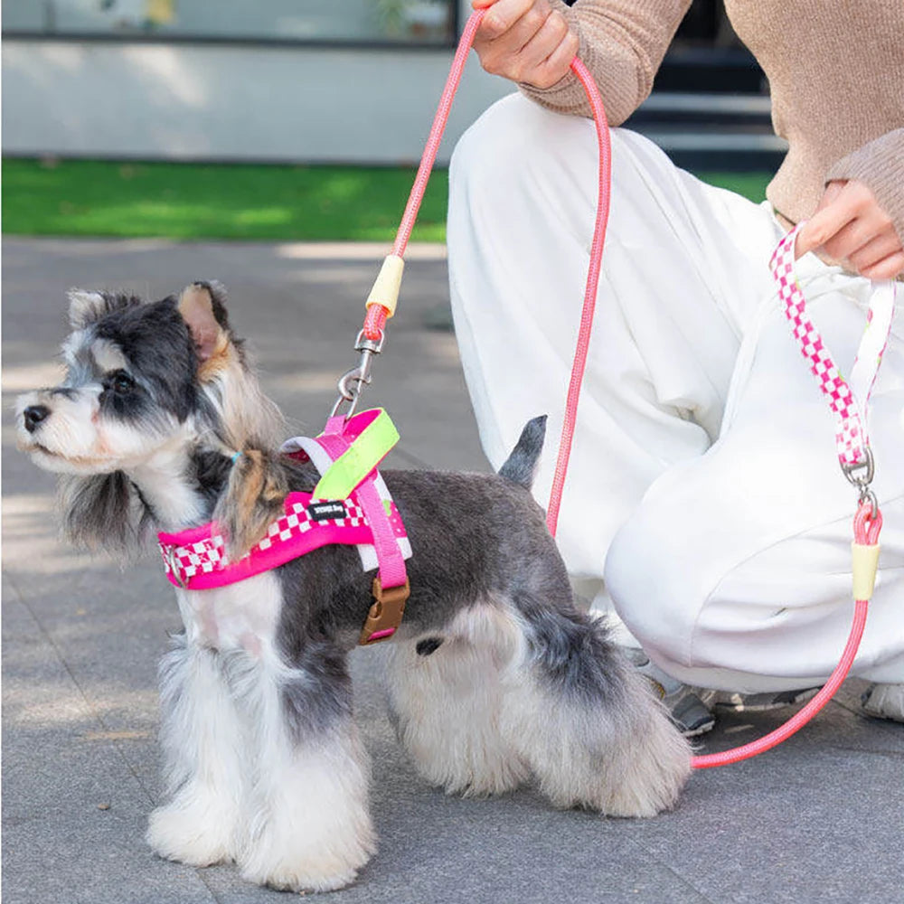 Dog Harness and Leash Set Saddle Plaid Adjustable Puppy Vest Harness