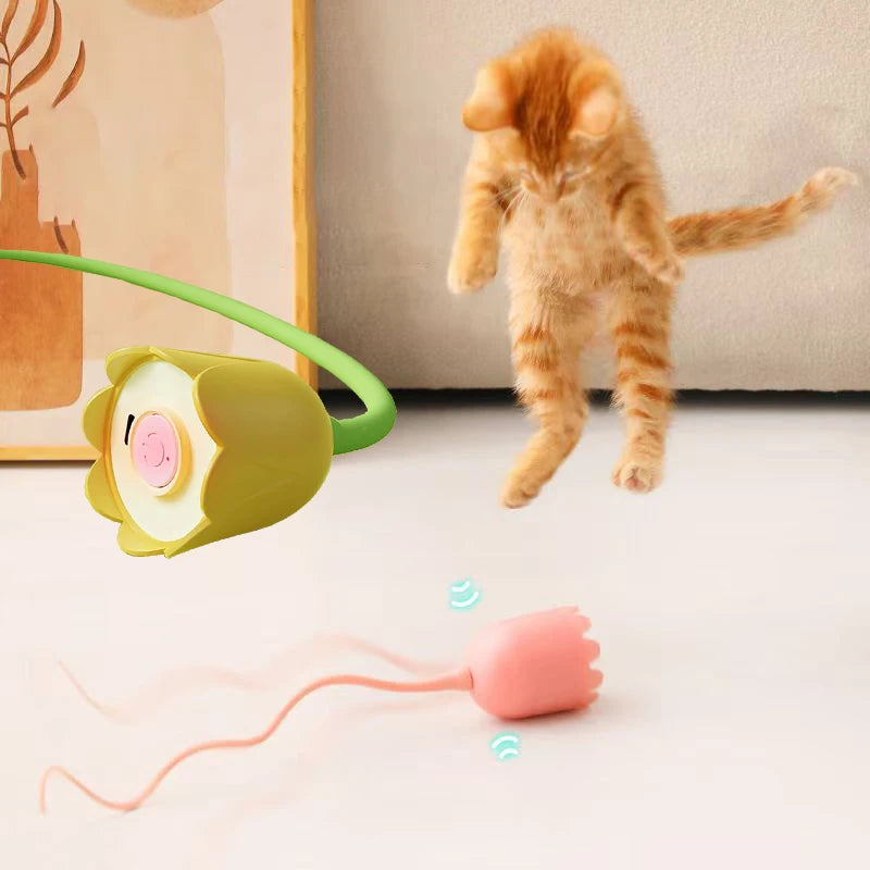 Interactive Cat Toys USB Electric Intelligent Rolling Ball Toy Cats